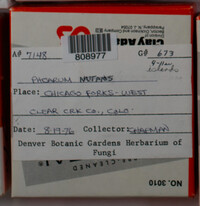 Image Associated With the Occurence